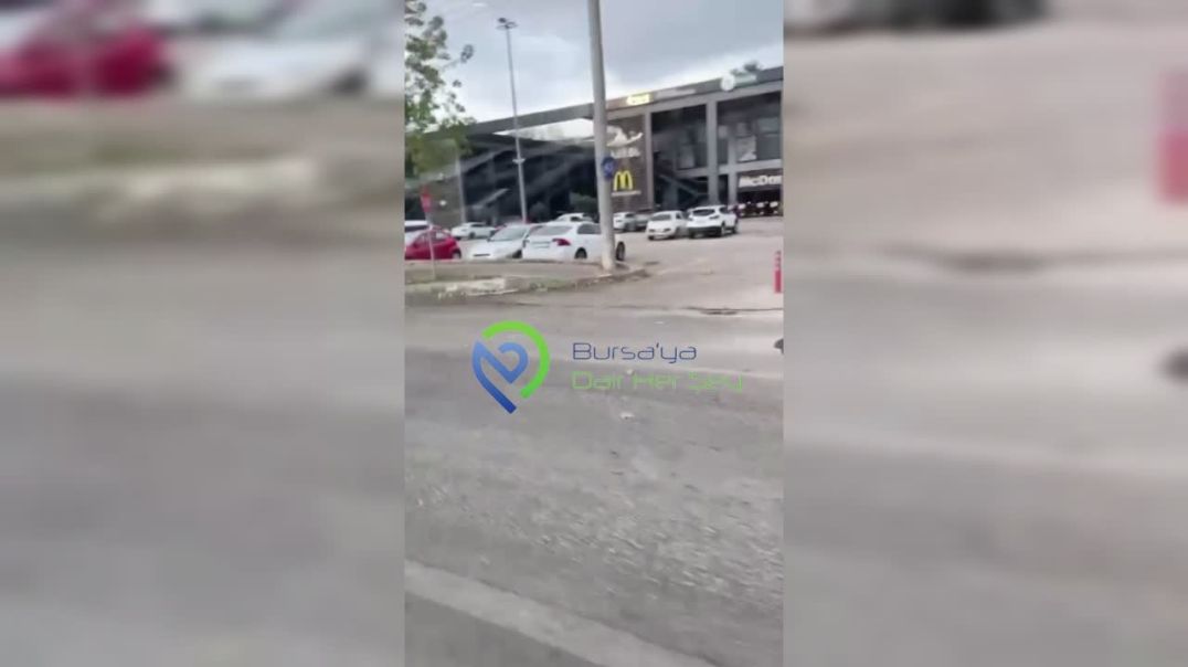 Bursa'da arabanın çarptığı at yol ortasında telef oldu