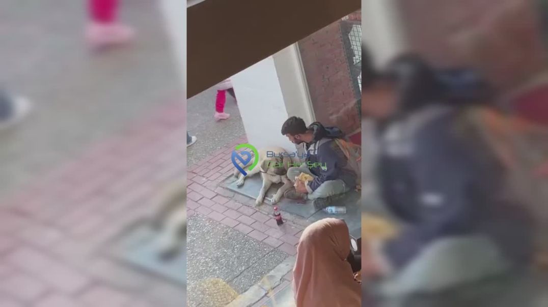 Bursa'da hayvansever genç yemeğini köpekle paylaştı... Görenler takdir etti!