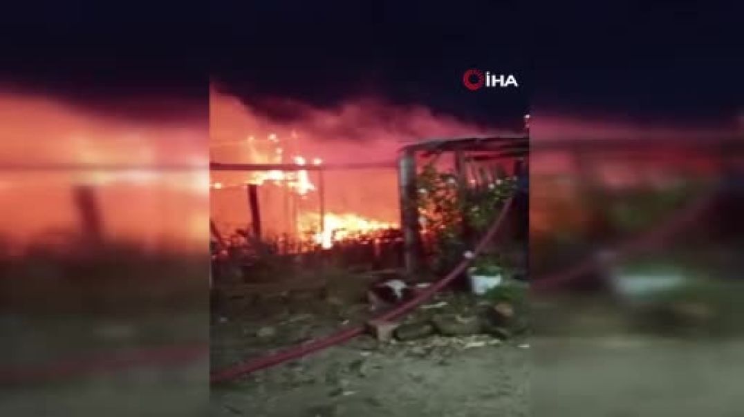 Bursa'da bağ evi yangında kül oldu