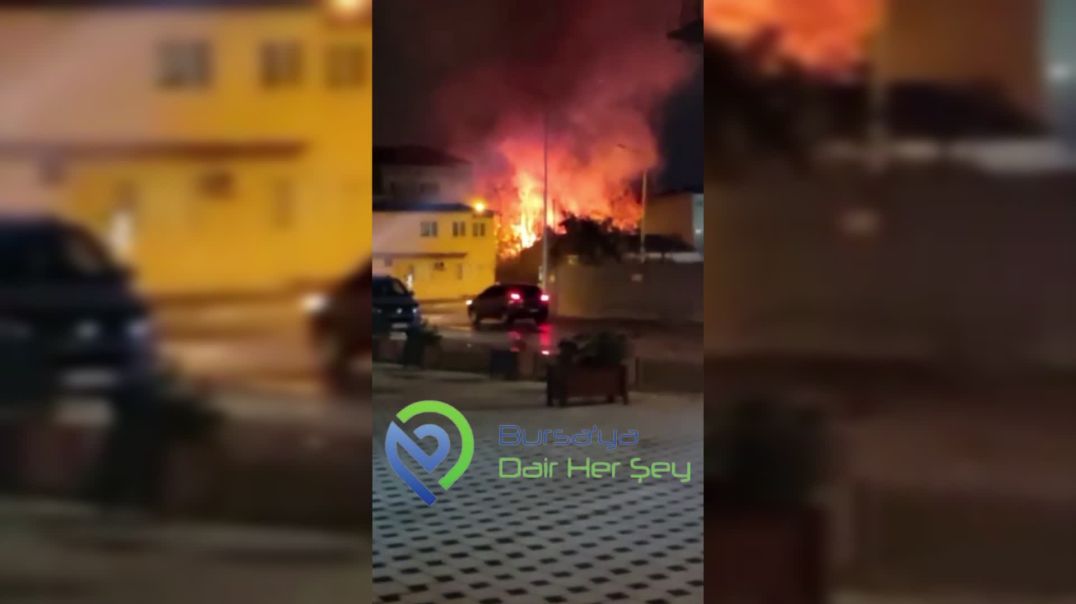 Bursa'da panik anları! Evlerin arasındaki ağaçlık alanda yangın