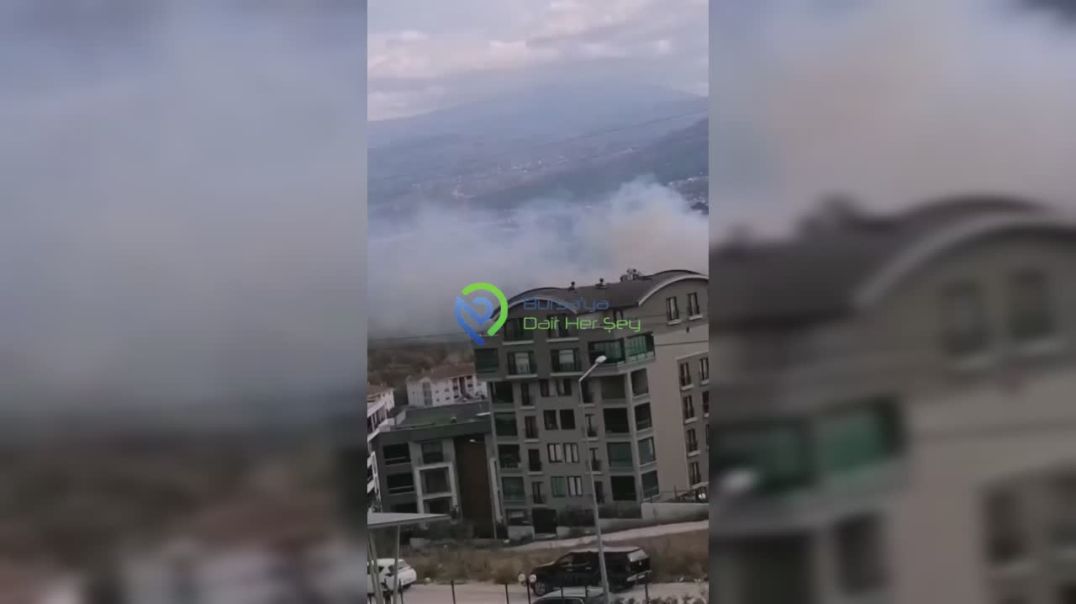 Bursa'da çalılık yangını paniğe neden oldu... Yerleşim yerine yaklaştı!