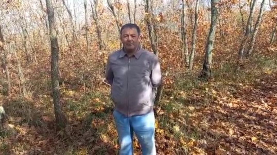 Bursa'da ormanda odun kesen muhtar hayatının şokunu yaşadı