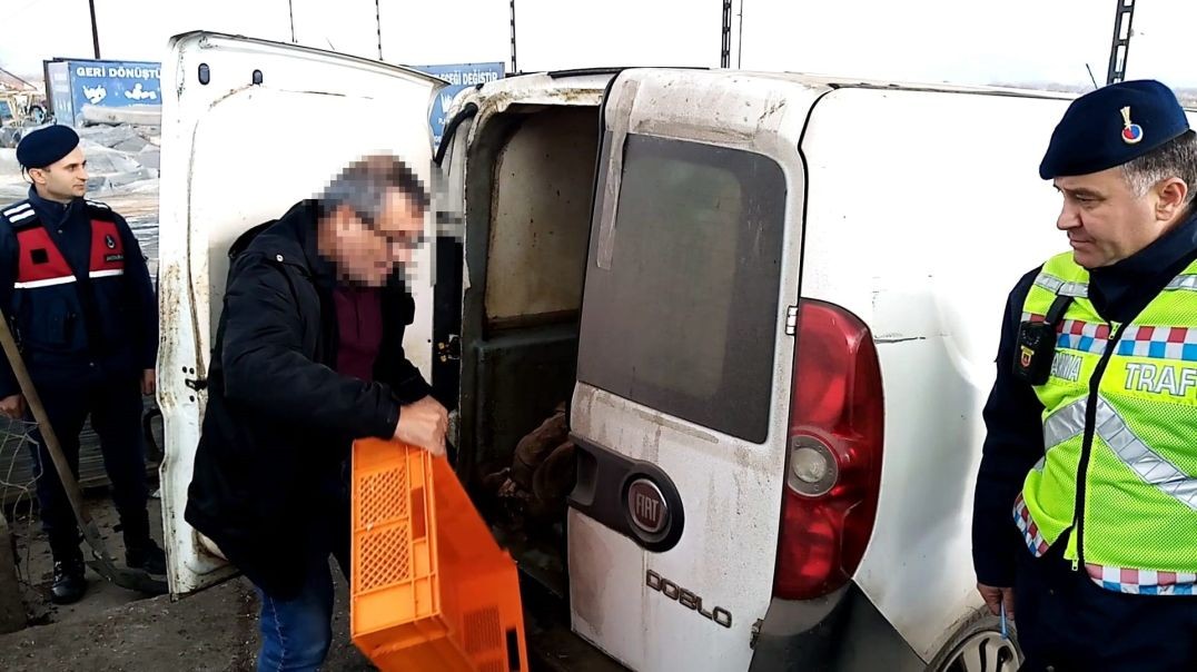 Bursa'da jandarmadan kaçak sakatat operasyonu! Yüzlerce kilo ele geçirildi