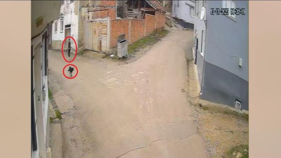 Bursa'da silahlı cani avlar gibi sokak köpeklerini vurdu!