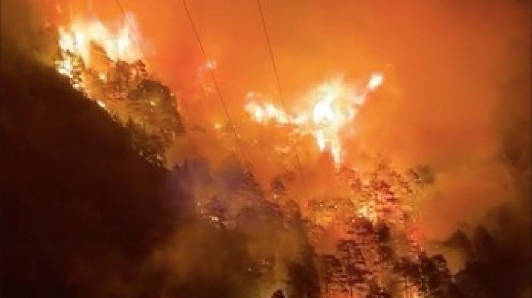 Antalya'da orman yangını: 4 farklı noktada başladı
