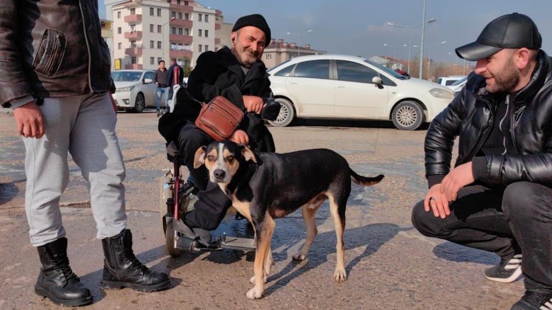 Bursa'da engelli vatandaşın ve Karabaş'ın dostluğu görenleri duygulandırdı