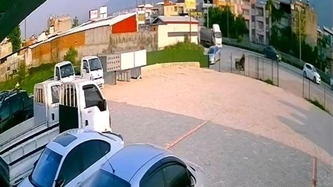 Bursa'da trafikteki başıboş at feci şekilde can verdi