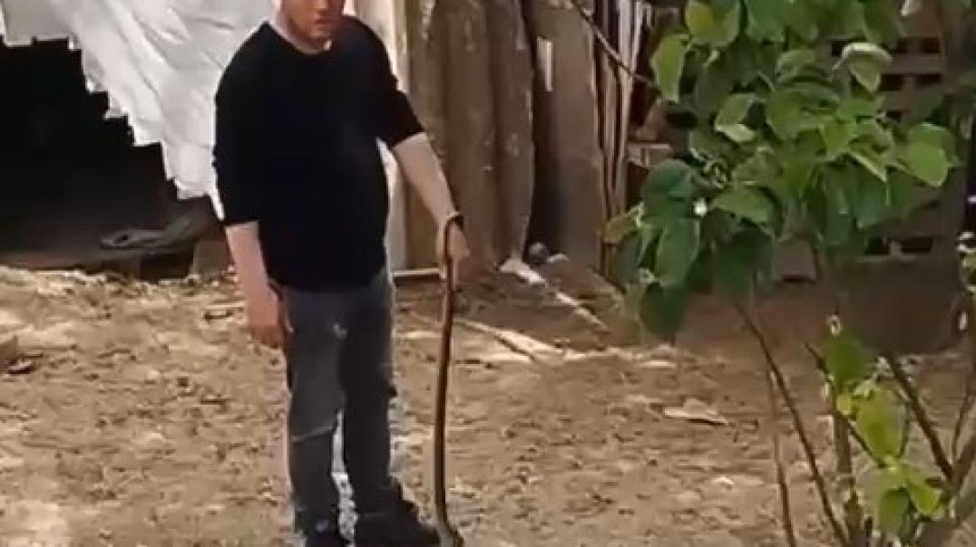 Bursa'da bahçesindeki yılanı çıplak elle yakalayıp poz verdi!