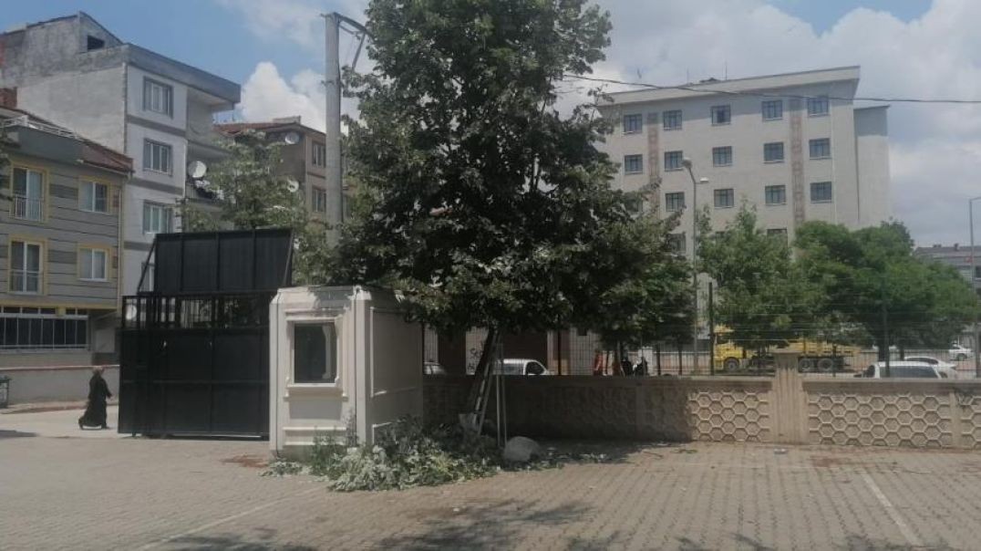 Bursa'da okulun bahçesinde ıhlamur toplamak isterken ağaçtan düştü