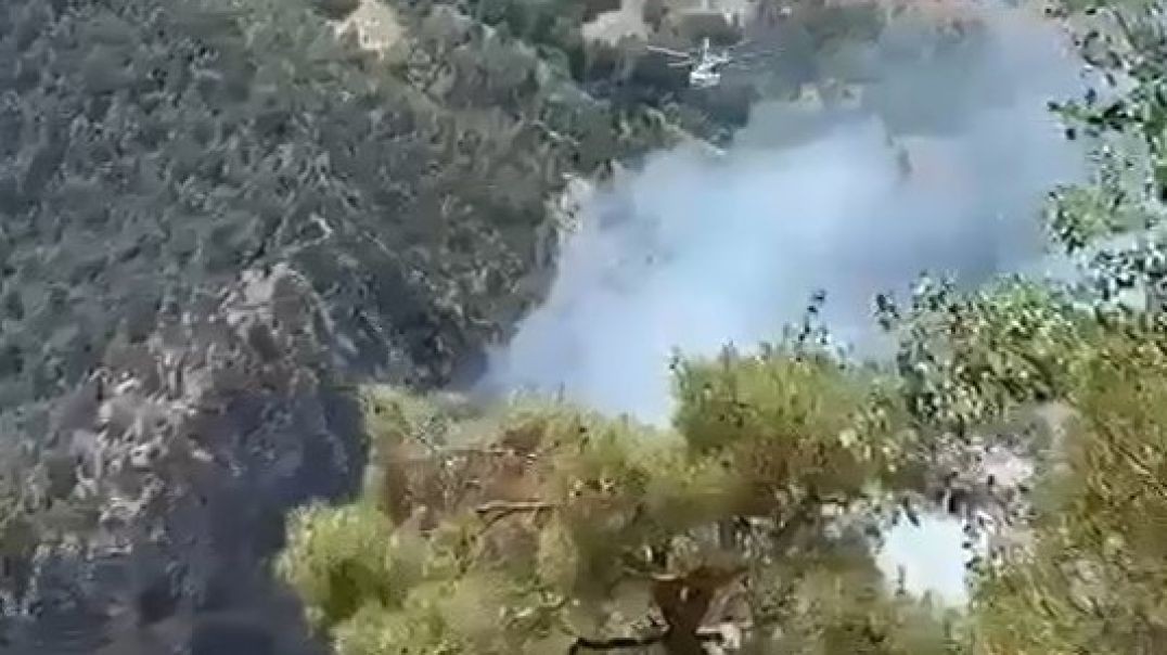 Bursa'daki orman yangınına müdahale devam ediyor!
