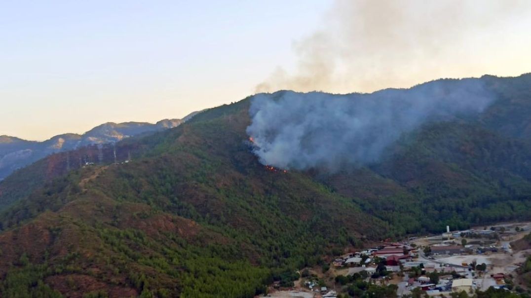 Marmaris güne orman yangınıyla başladı!