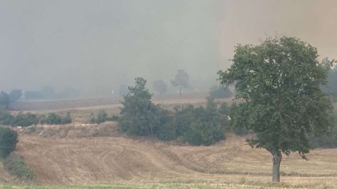 Bursa'da orman yangını: Helikopterle müdahale ediliyor!