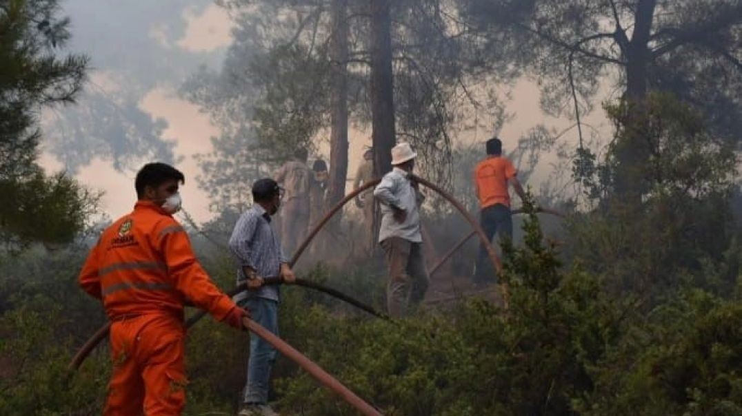 Yenişehir'deki orman yangınında soğutma çalışması başladı... Alevlerle mücadele kamerada!