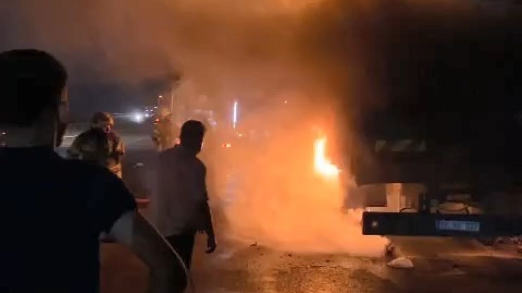 Bursa'da bir kamyon dolusu arı yanarak telef oldu
