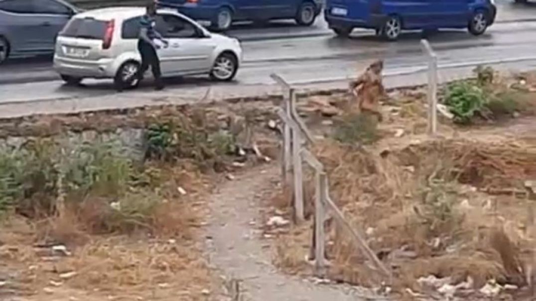 Bursa'da sokak ortasında kimseyi dinlemeden kadını kemerle dövdü