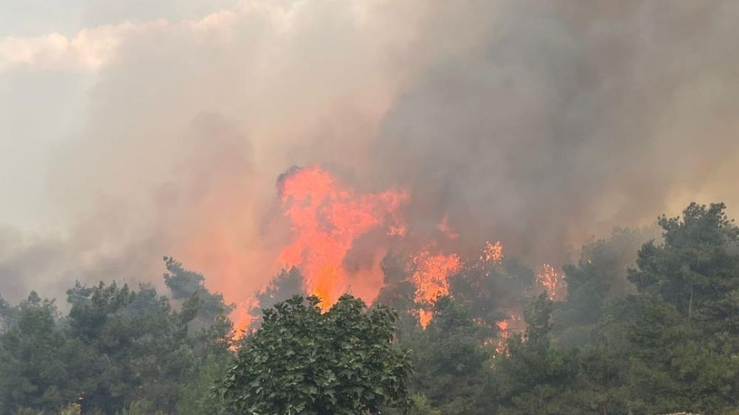 Bursa'nın ciğeri yanıyor: Yangın giderek büyüyor!