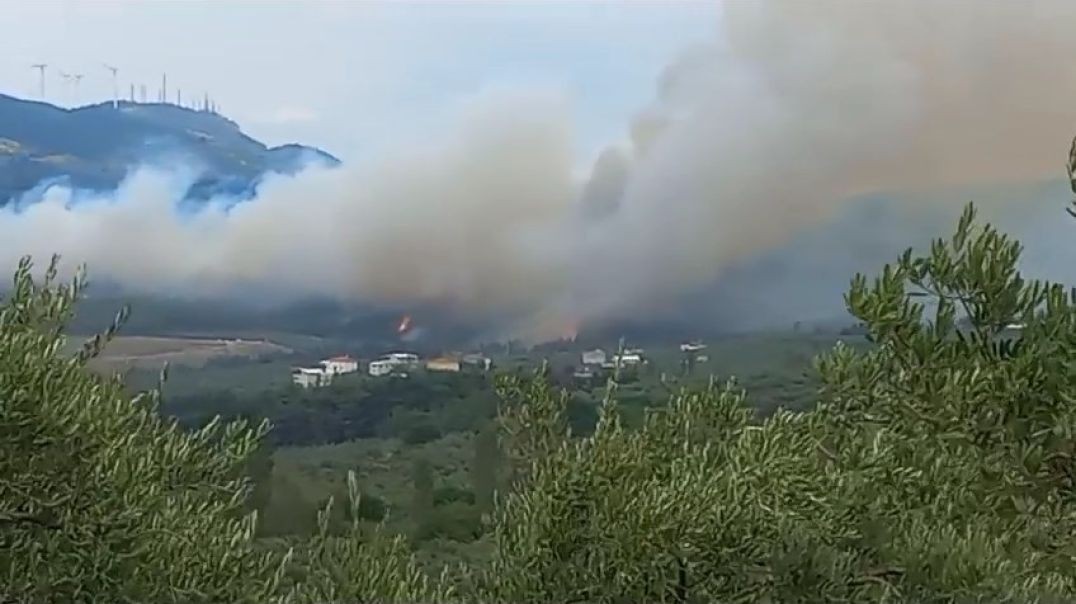 Bursa'da korkutan orman yangını: Havadan müdahale ediliyor!