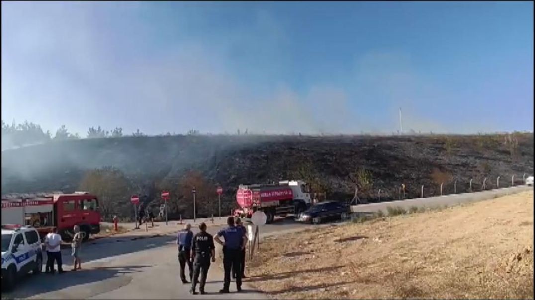 Bursa'da gençlerin yersiz hareketi ormanı neredeyse küle çevirecekti!