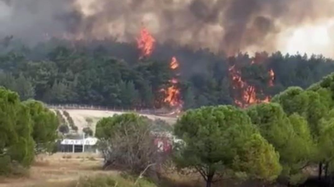 İzmir'de orman yangını: Uçuşlar kapatıldı!