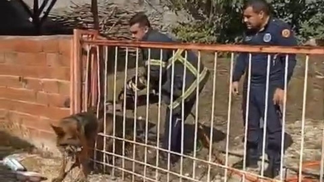 Bursa'da demir kapıya sıkışan köpeğin imdadına itfaiye koştu!