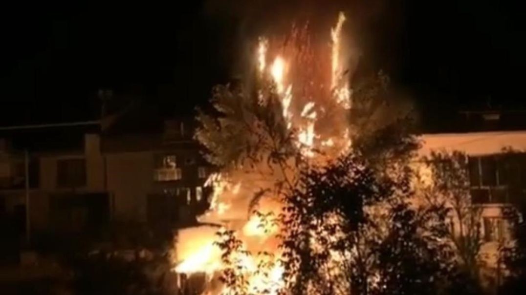 Bursa'da ağaçlık alanda çıkan yangın neredeyse evleri küle çevirecekti!