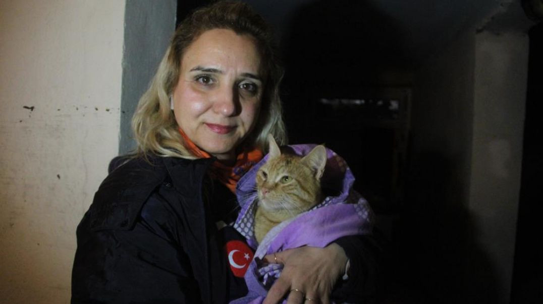 Antalya'da tereddüt etmeden su dolu bodruma girip kediyi kurtardı