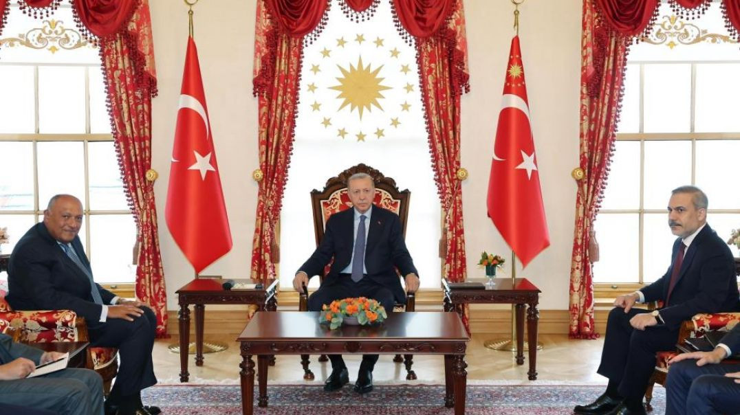 Cumhurbaşkanı Erdoğan, Mısır Dışişleri Bakanı Şukri’yi konuk etti