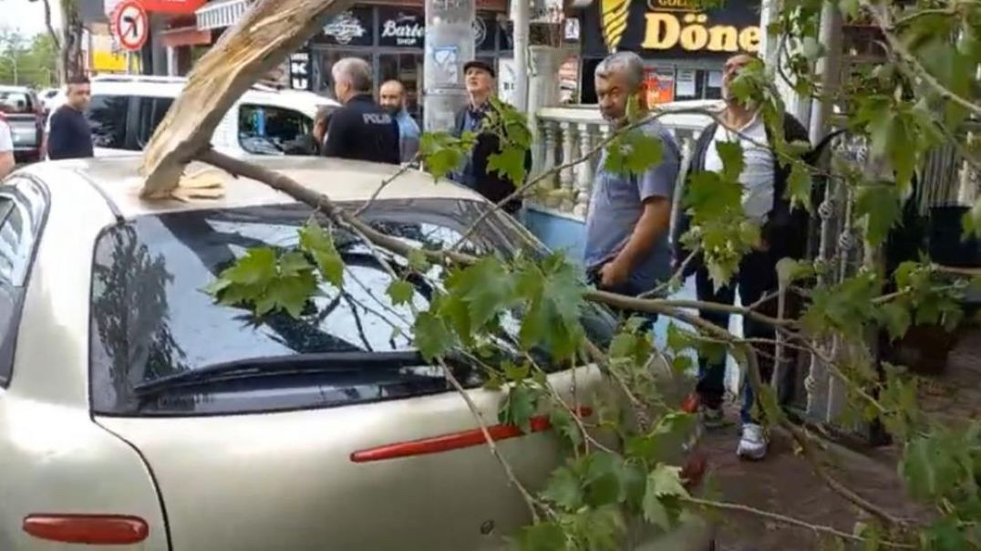 Bursa'da şiddetli rüzgarda ağaç otomobilin üzerine devrildi