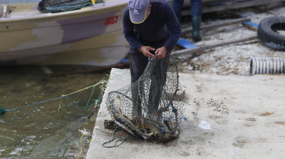 Tarihi Gölyazı köyünde 100 yıldır devam eden balık mezadı
