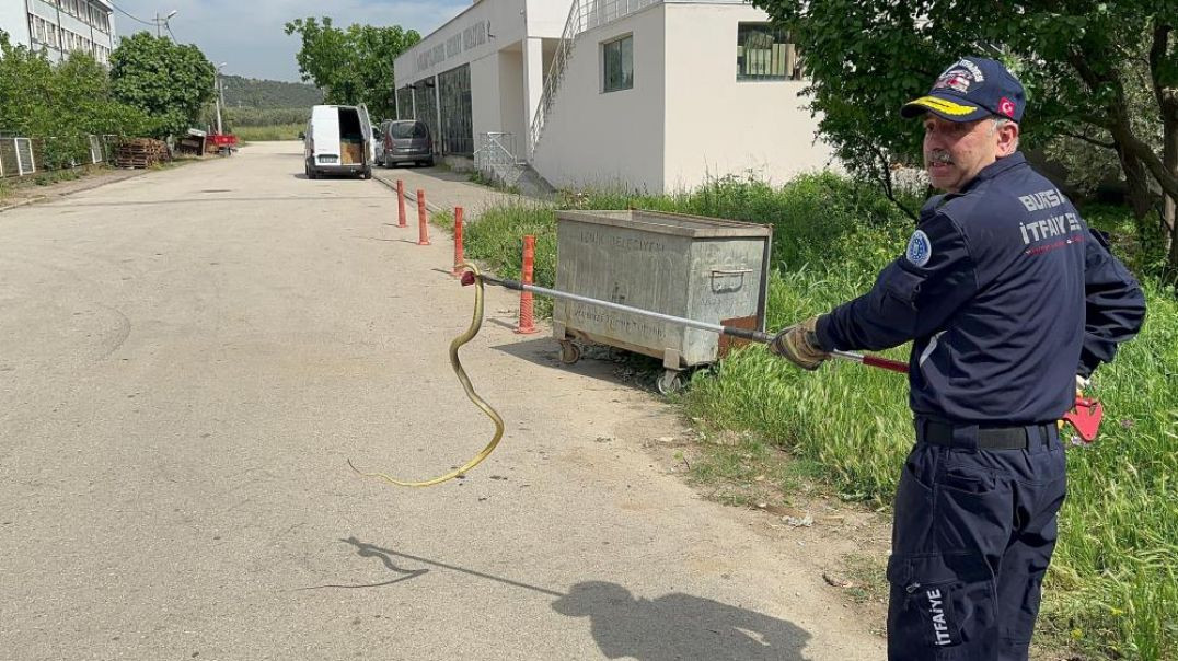 Bursa'da polis arabasına giren yılanı itfaiye çıkardı