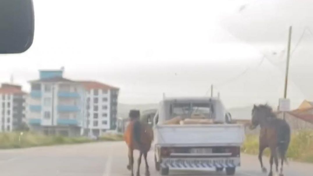 Bursa'da aracının arkasına bağladığı atları kilometrelerce koşturdu