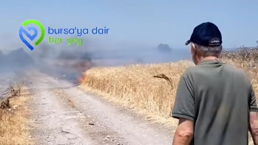 Bursa'da korkutan anız yangını!