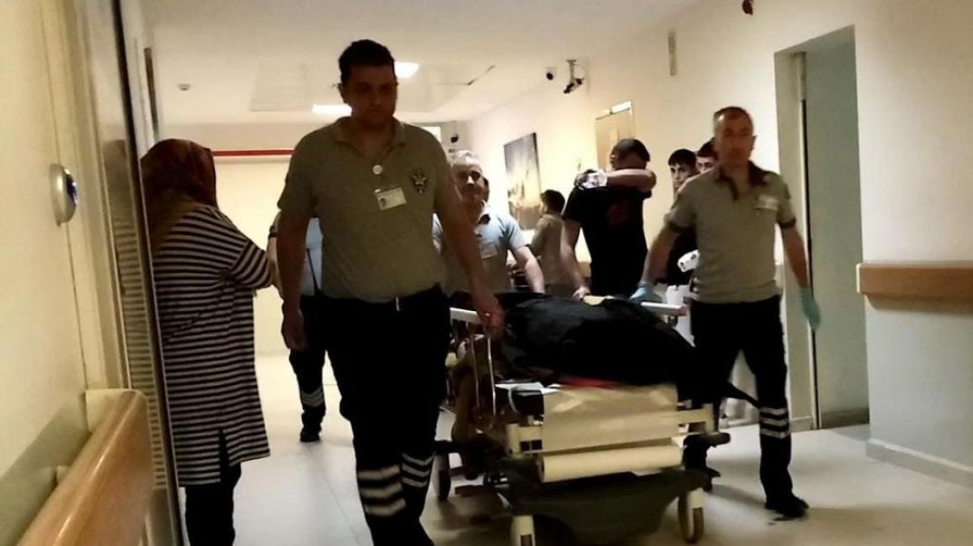 Bursa'da ıhlamur ağacından düşen adam kurtarılamadı