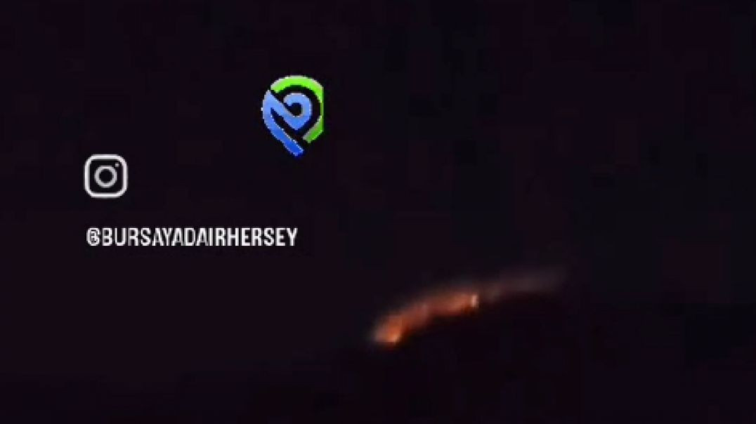 Orhangazi'de orman yangını hala devam ediyor!
