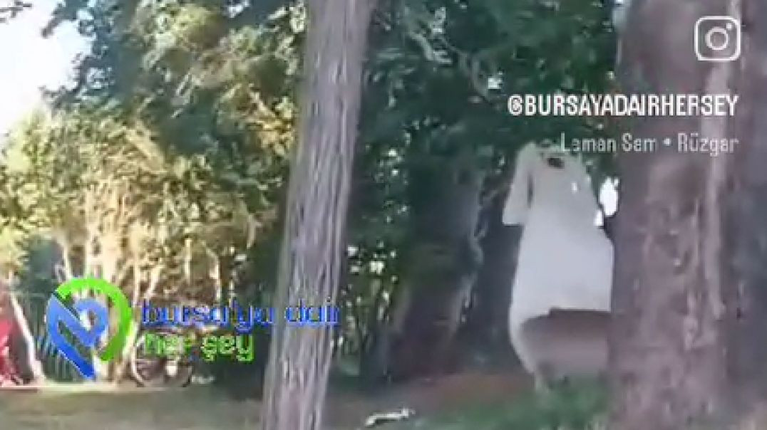 Bursa'da esrarengiz anlar: Ağaca asılı gelinlik bulundu