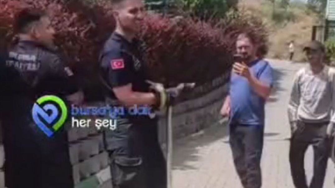 Bursa'da yaklaşık 2 metrelik yılan paniğe neden oldu