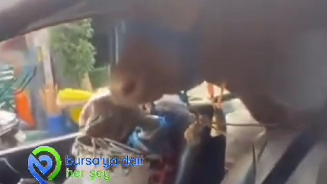 Bursa'da otomobiline bindirdiği büyükbaş hayvanla yolculuk yaptı