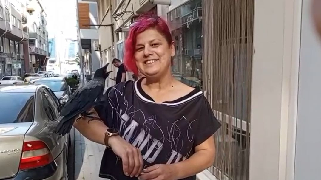 Bursa'da kedi saldırısından kurtardığı kargayla ayrılmaz dost oldu