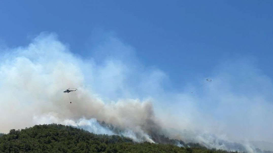 Urla'daki yangın devam ediyor: 1 kişi gözaltına alındı!