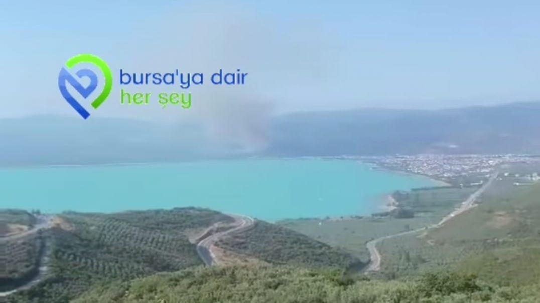 İznik'te orman yangını: Alevler kısa sürede büyüdü!