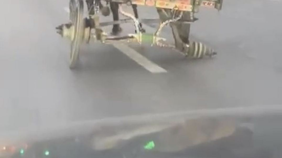 Bursa'da 3 tekerli at arabası ile seyahat şaşkına çevirdi