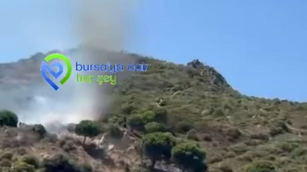 Fıstıklı'da orman yangını: Alevler kısa sürede büyüdü!