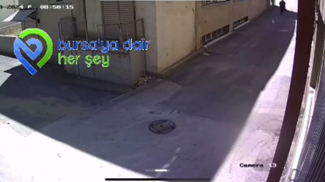 Bursa'da otomobilden 3 bin 600 dolar çalan kadın kamerada!