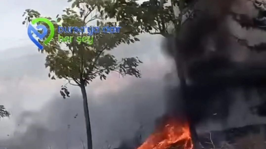 Bursa'da Eskikarağaç Köyü'nde anız yangını!