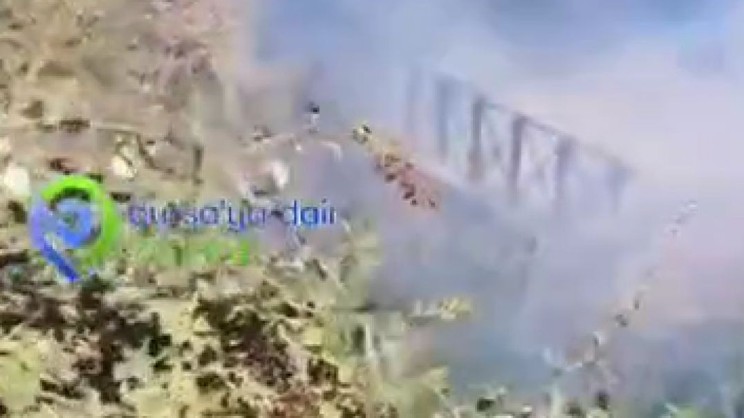 Özlüce'de çalılık yangını paniğe neden oldu