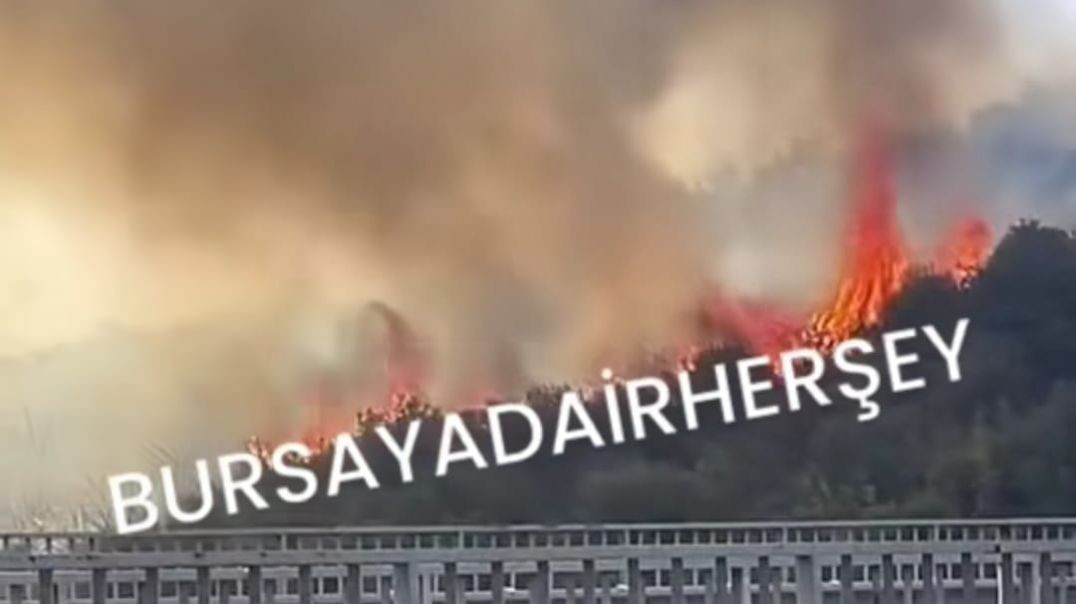 Bursa'da orman yangını: Alevler kısa sürede büyüdü!