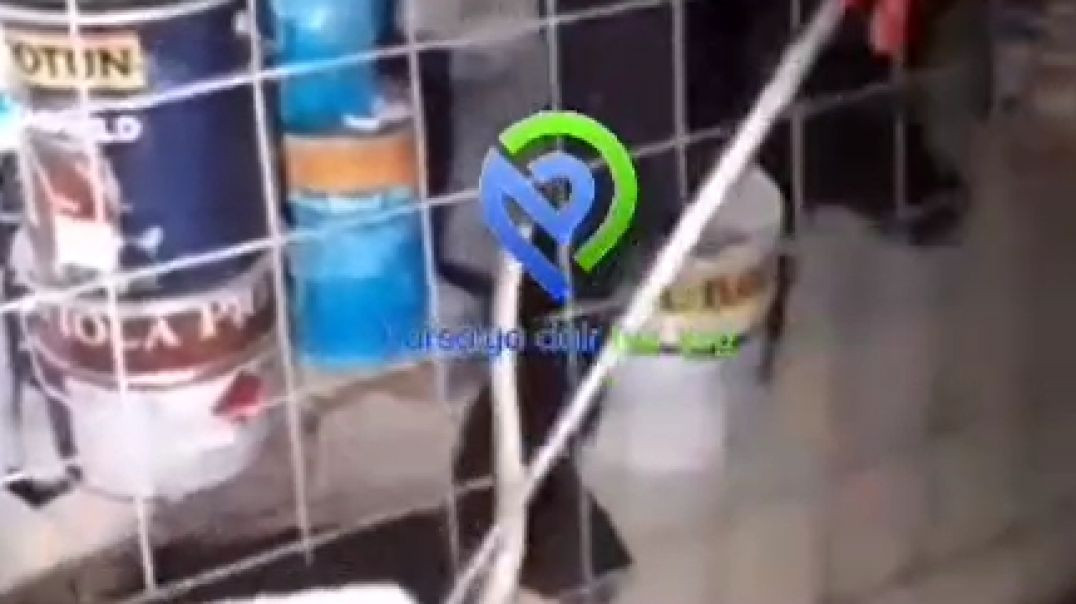 Bursa'da itfaiye ekiplerinin yılanla mücadelesi kamerada!