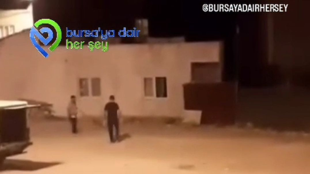 Bursa'da o belediye sokak köpeklerini toplamaya başladı!