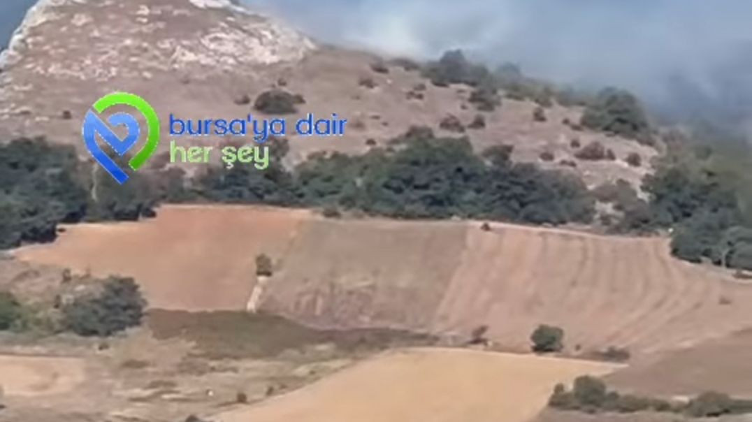 İznik'te orman yangını: Alevler kısa sürede büyüdü!