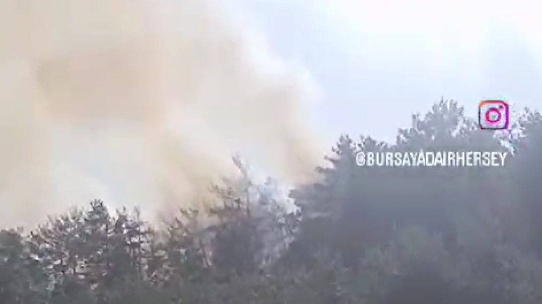 Mudanya'da orman yangını: Alevler git gide büyüyor!